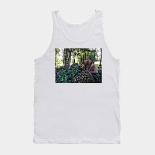 Scottish Highland Cattle Calf 1813 Tank Top